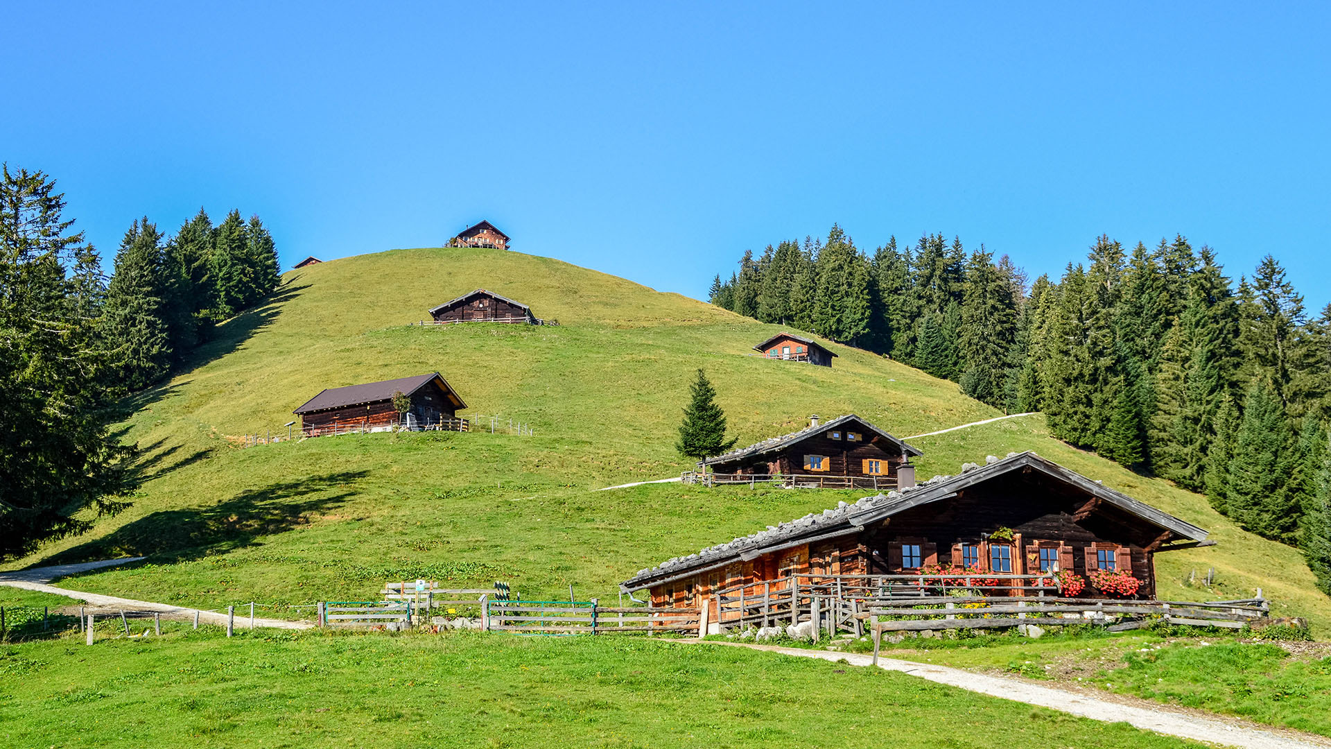 hilltop-appartement-lofer-slider-2